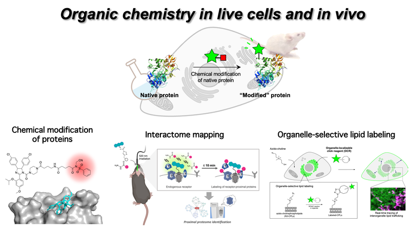 Bioorganic Chemistry.png