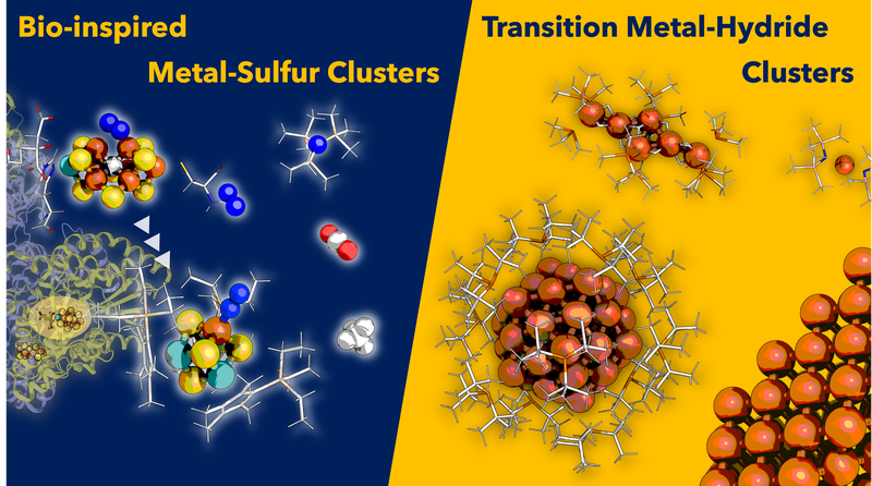 Organotransition Metal Chemistry.png