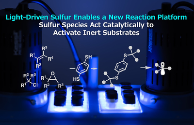【Energy and Environmental Chemistry】Light-Driven Sulfur Enables a New Reaction Platform: Sulfur Species Act Catalytically to Activate Inert Substrates