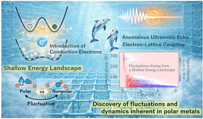 【Molecular Systems and Materials Chemistry】Unraveling Structural Fluctuations in Polar Metals - Shallow Energy Landscapes Driven by Conduction Electrons and Emergent Dynamics -