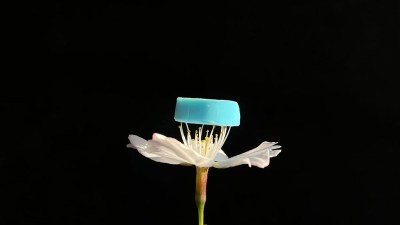 【Molecular Systems and Materials Chemistry】Porous Nanofibrils Spun from Supramolecules with Intrinsic Cavities