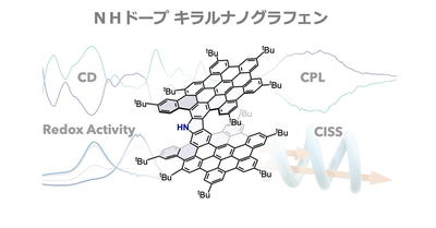 フリーNH 部位を有するキラルナノグラフェンの合成とスピン輸送特性