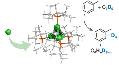 【環境・エネルギー化学領域】4つのニッケル原子の協同作用で強固な炭素-水素結合を活性化 ―複数の金属が協力する分子の新たな可能性―