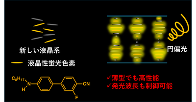 【材料・分子システム化学領域】液晶性発光色素により薄膜で実装レベルの円偏光発光を実現 －オプトエレクトロニクス分野への応用に期待－