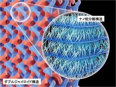 【材料・分子システム化学領域】三次元ナノダブルネットワーク構造を安定化 ―ミクロ相分離とナノ相分離の共創―