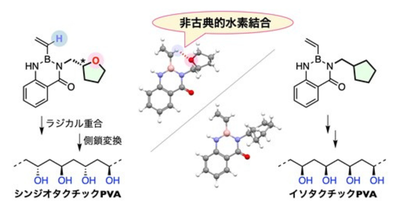 【材料・分子システム化学領域】ビニルポリマーの立体構造を制御する新戦略 ―弱い相互作用で側鎖の方向を思い通りに―