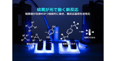 【環境・エネルギー化学領域】硫黄が光で動く新反応 ―硫黄種が自律的かつ触媒的に働き、難反応基質を活性化―
