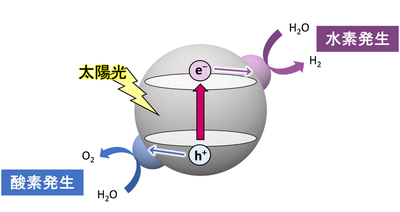 【環境・エネルギー化学領域】水完全分解光触媒における初めてのオールインワン助触媒を実現 ―サステイナブルな水素社会の実現に向けて―