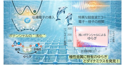 【材料・分子システム化学領域】極性金属に潜む構造ゆらぎの謎を解明 ―伝導電子が生み出す浅いポテンシャルと新しいダイナミクス―