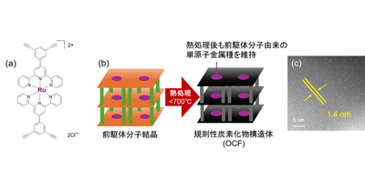【材料・分子システム化学領域】ルテニウム原子を炭素材料に高密度固定することに成功 ―CO2を高選択的にギ酸へ変換、 希少な貴金属を有効利用する触媒材料開発に期待―