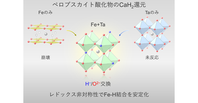【材料・分子システム化学領域】鉄と水素の結合を結晶内で安定化 ―レドックス非対称性で鉄系酸水素化物を実現―