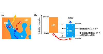 【材料・分子システム化学領域】有機薄膜太陽電池の長年のジレンマを解消 〜低炭素化社会の実現に向けて、ロスなく発電する技術の開発に成功！〜