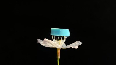 【材料・分子システム化学領域】ナノ空間分⼦を紡いでつくる、多孔性ナノ⽷の開発 ー多孔性と柔軟性をあわせ持つ新材料ー