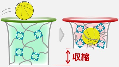 【材料・分子システム化学領域】分⼦を識別し、⾊・⼤きさ・硬さが変わる多孔性ゲル