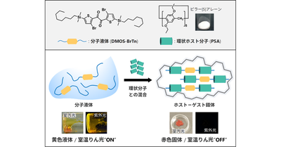 【材料・分子システム化学領域】気体に反応して色と光がスイッチする相分離材料を開発 ―液体がしみ出す相分離を分子レベルの相互作用で制御―