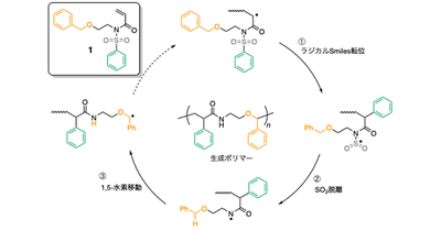 【材料・分子システム化学領域】付加重合でポリアミドを作る ―多段階ラジカル異性化による新たな高分子合成―