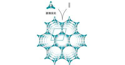 【材料・分子システム化学領域】ラジカル共有結合性有機構造体の形成 ―不対電子を組み込んだ有機構造体の形成による擬１次元反強磁性体への展開―